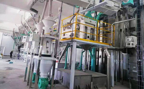 苦蕎茶成套加工設(shè)備實拍圖片