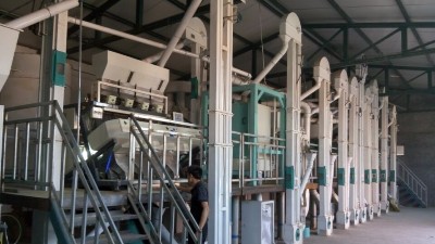 小米加工成套設備的核心技術的研究