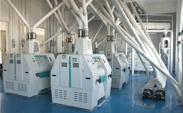 玉米粉加工成套設備實拍圖片