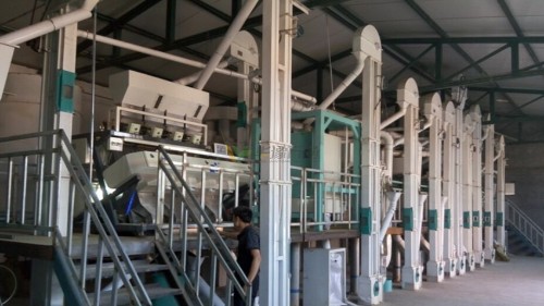 談談小米的營養價值