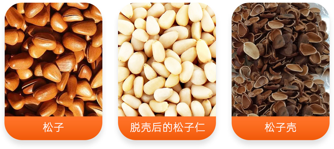 松子脫殼成套設備產成品圖