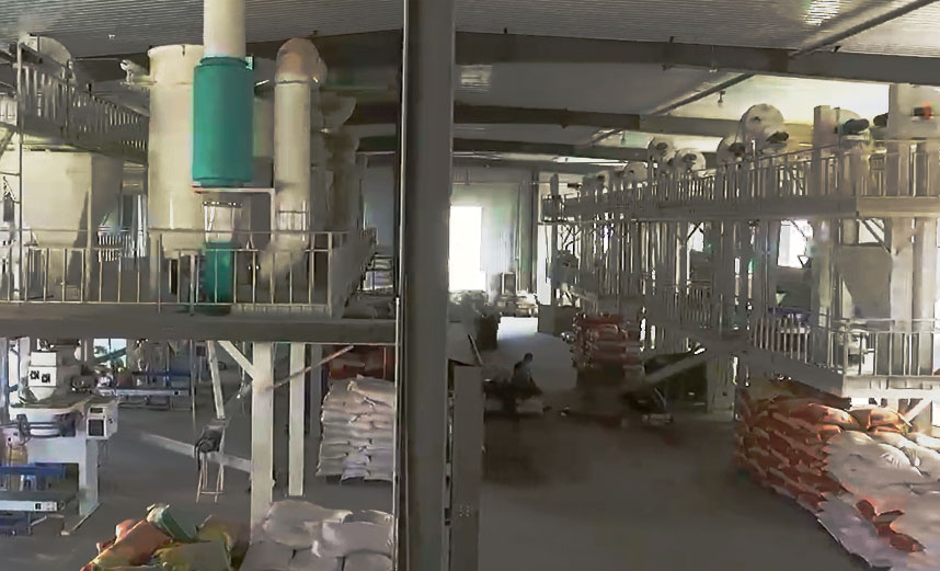 青稞米、青稞面加工創(chuàng)新工藝