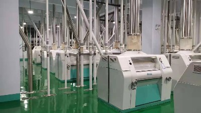 面粉廠小麥脫皮機和工藝引入與傳統小麥制粉區別和優勢