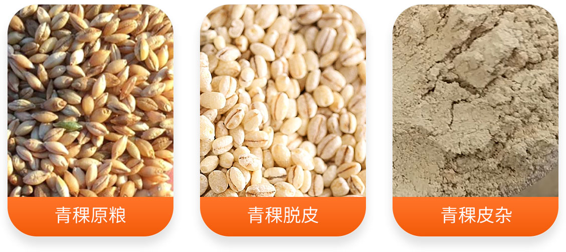 青稞加工生產線產成品圖