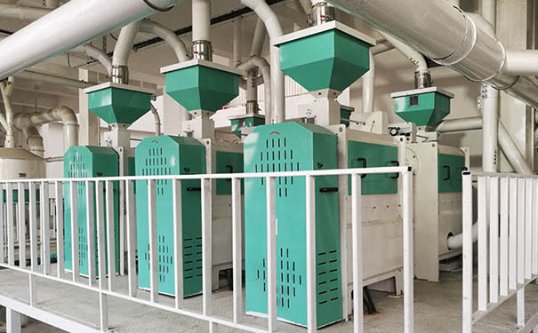 大麥加工成套設備實拍圖片