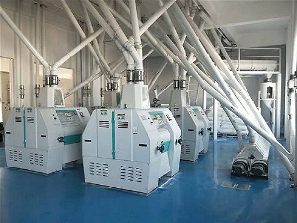 陜西日產500噸玉米面加工成套設備安裝完成