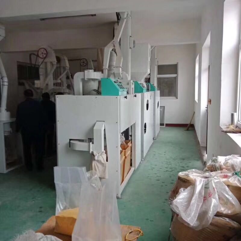 8.8玉米加工機組客戶現場實拍 8.8玉米加工機組客戶現場實拍