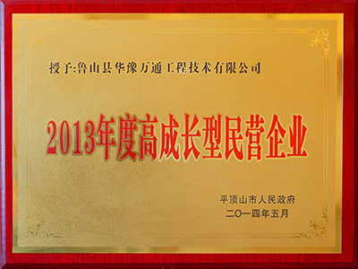 高成長型民營企業(yè)