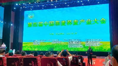 華豫萬通應邀參加第四屆中國燕麥蕎麥產業大會