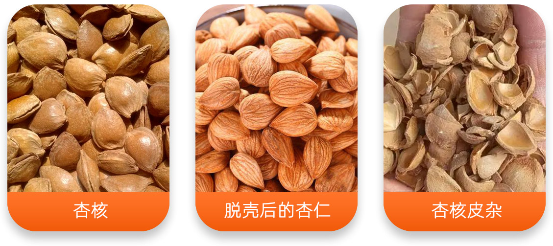 杏核/榛子/巴旦木脫殼成套設備產成品圖