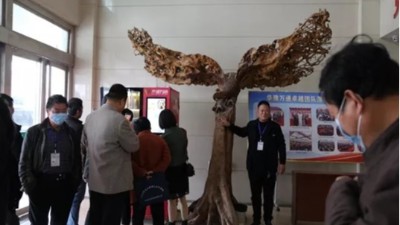 請進來 同學習 共發展