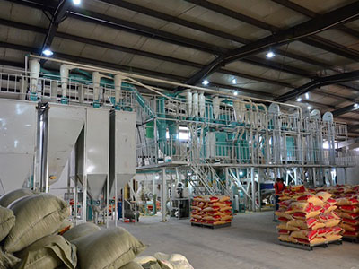 遼寧日產(chǎn)100噸玉米加工設備已投入生產(chǎn)