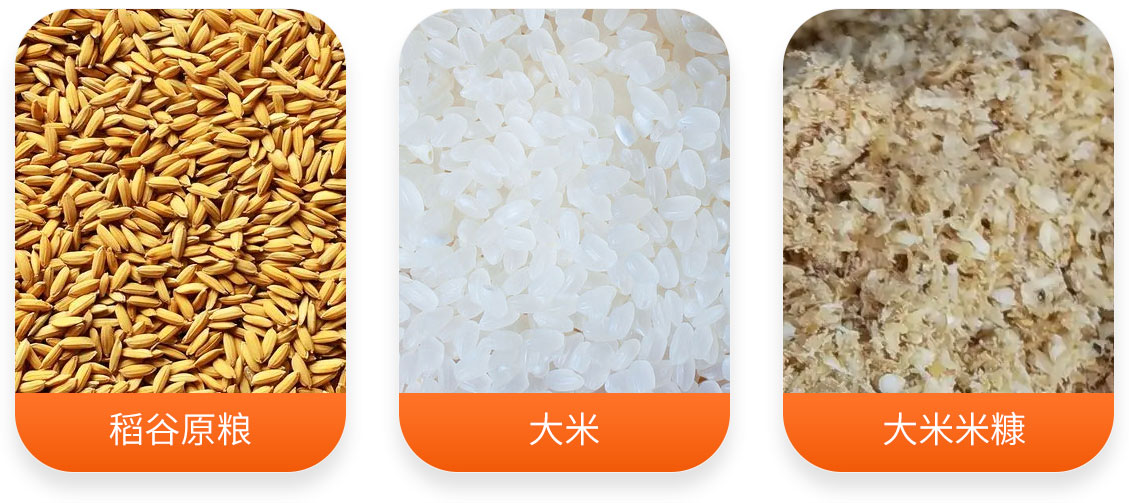 MLNZ-15T大米碾米加工成套設備產成品圖