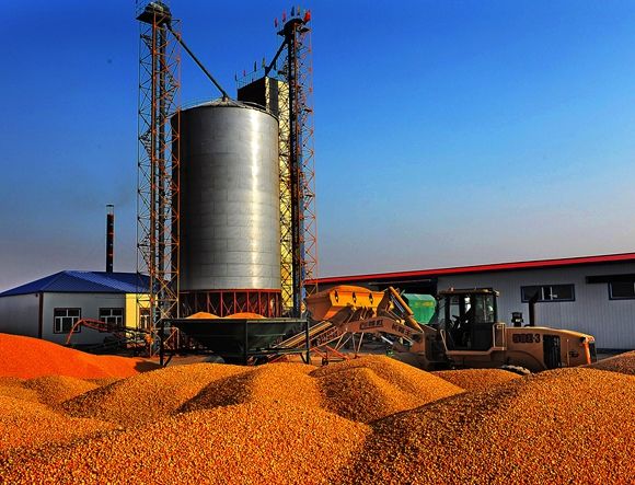 玉米烘干設備 玉米烘干設備