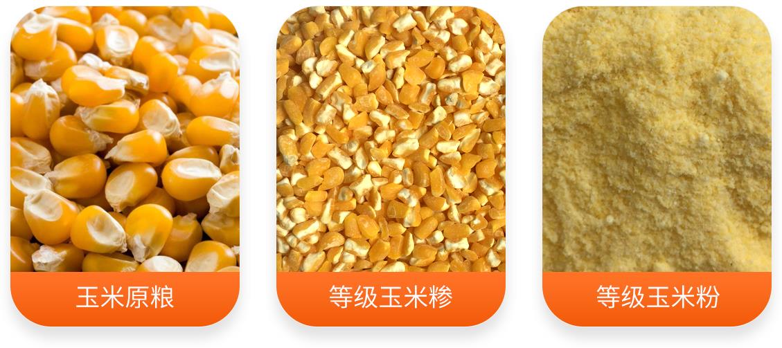 玉米制糝制粉成套設備產(chǎn)成品圖