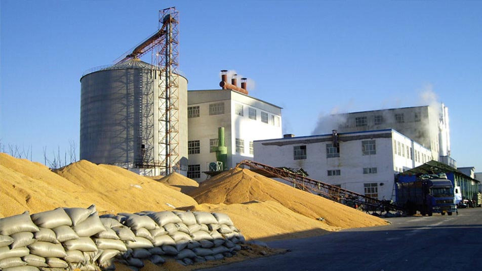 乙醇酒精廠提胚生產線