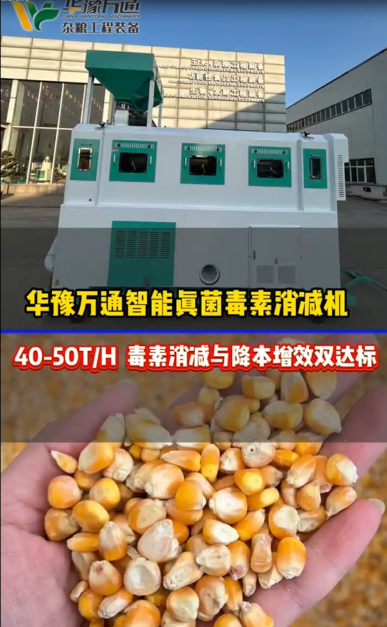 華豫萬通玉米真菌毒素消減機專為玉米雜糧加工打造的智能除毒裝備