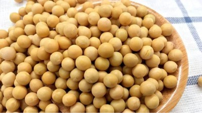 關于黃豆脫皮前我們所要知道的小知識