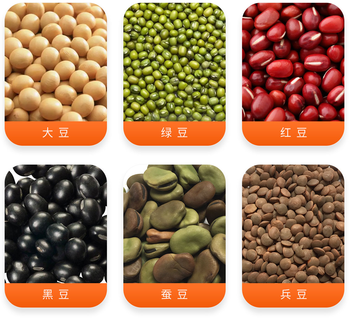 豆類清理精選成套設(shè)備產(chǎn)成品圖