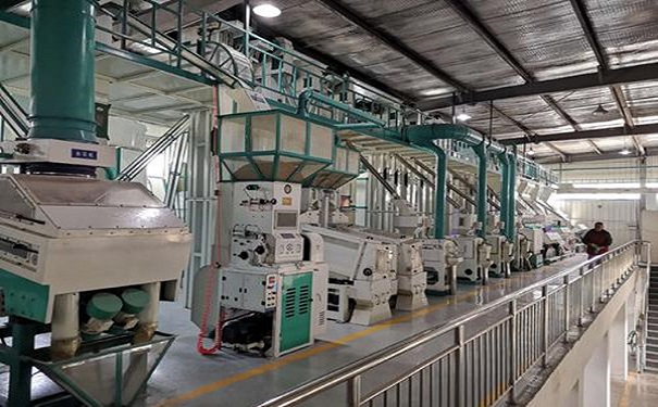 藜麥加工成套設備實拍圖片