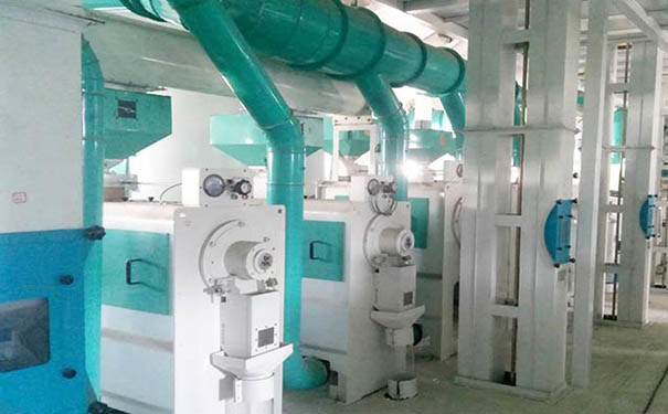 大麥加工成套設備實拍圖片