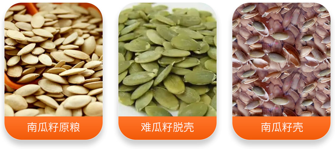 南瓜籽脫殼成套設備產成品圖
