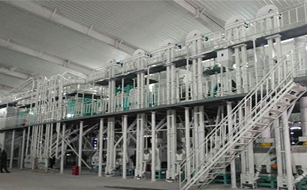 豆類脫皮成套設備實拍圖片