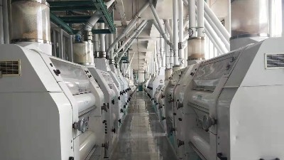 如何整治面粉機械生產車間的粉塵污染