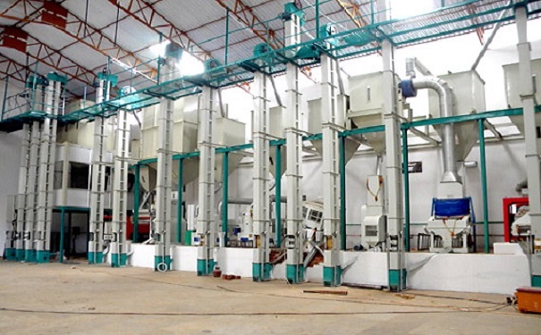 小米加工成套設備實拍圖片