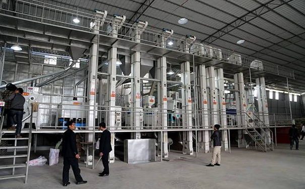 藜麥加工成套設備實拍圖片