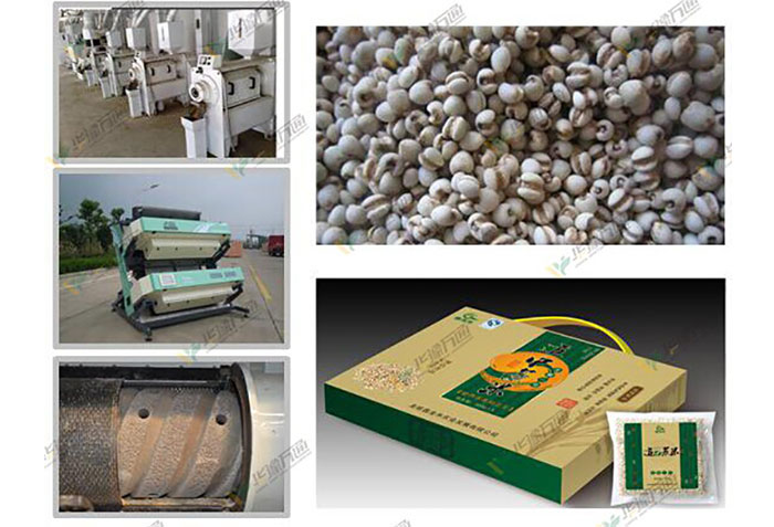 薏谷制仁成套設備 薏米加工 薏谷制仁成套設備 薏米加工