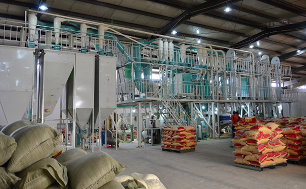 鋼架式玉米制糝制粉成套設備實拍圖片