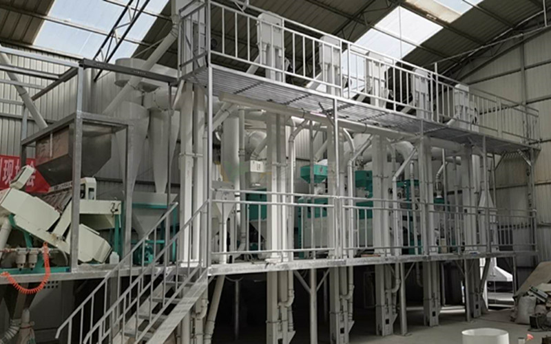 云南藜麥脫皮加工生產(chǎn)線