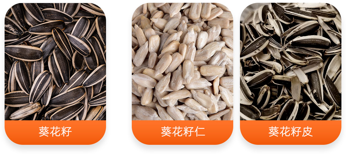 葵花籽脫殼成套設備產成品圖