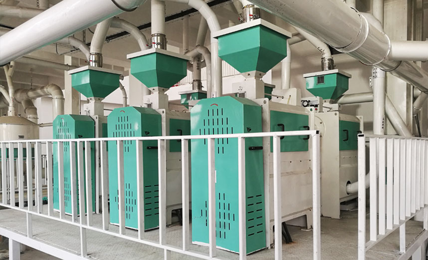 豆類(lèi)脫皮、拋光、制仁、制粉技術(shù)方案