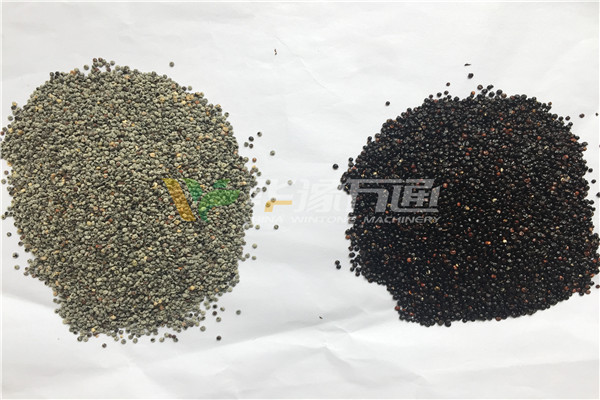 云南藜麥脫皮加工生產(chǎn)線