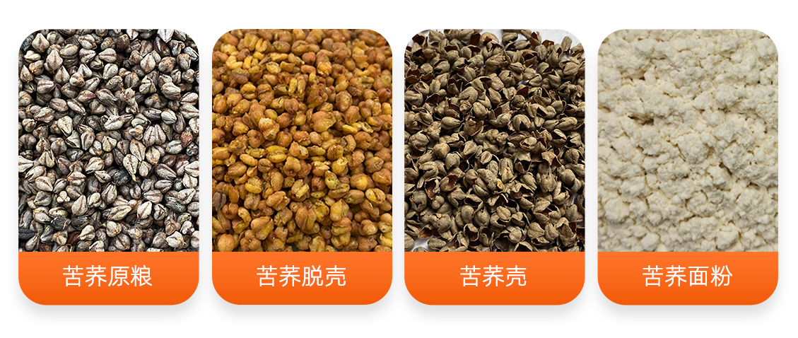 苦蕎麥加工成套設(shè)備產(chǎn)成品圖