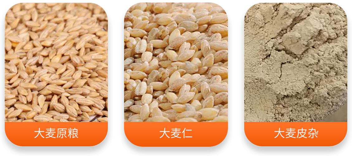 大麥加工成套設備產成品圖