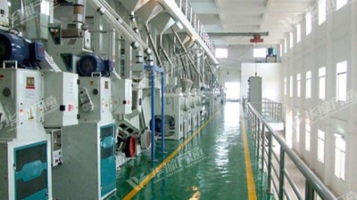 云南地區藜麥米加工設備選用哪個設備生產廠家?