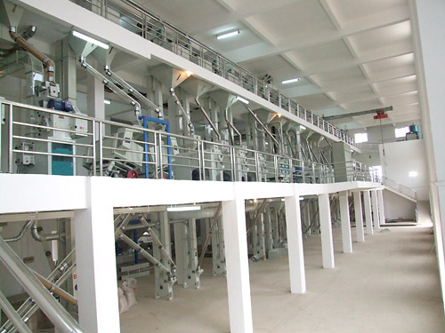 湖北日產50噸小米加工成套設備投入生產