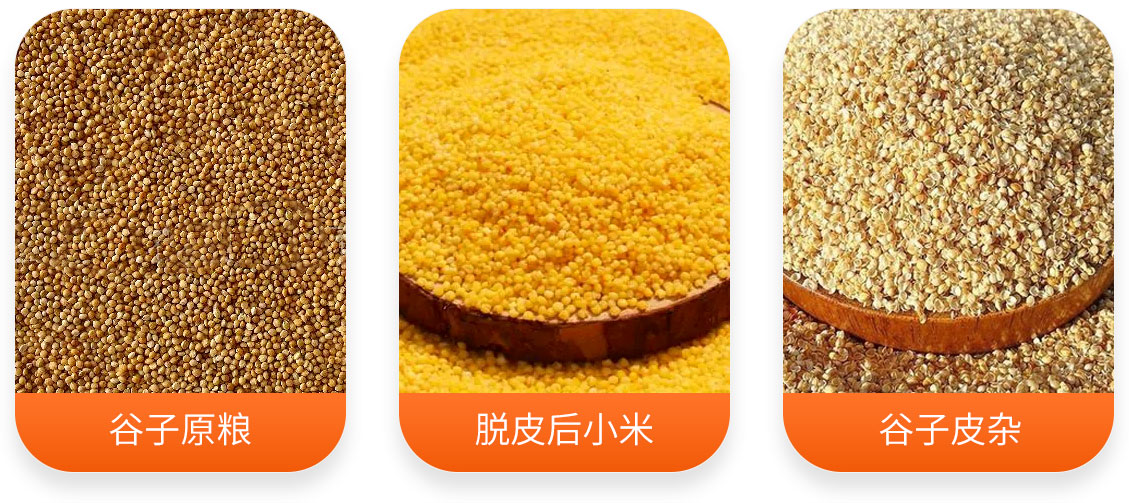 小米加工成套設備產成品圖