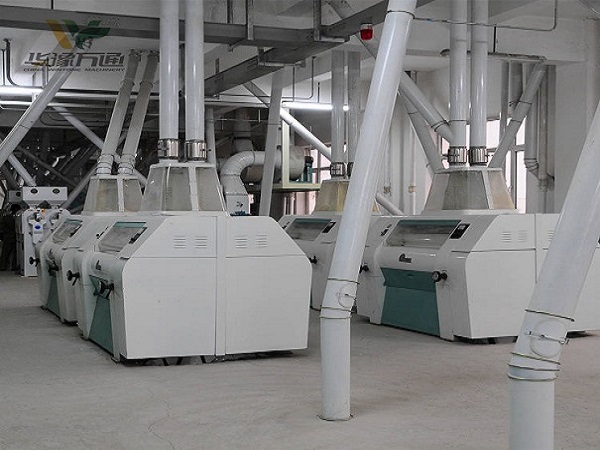 玉米面加工成套設(shè)備