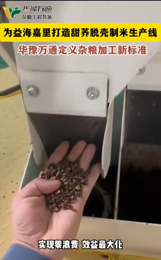 華豫萬通為益海嘉里打造甜蕎脫殼制米生產線