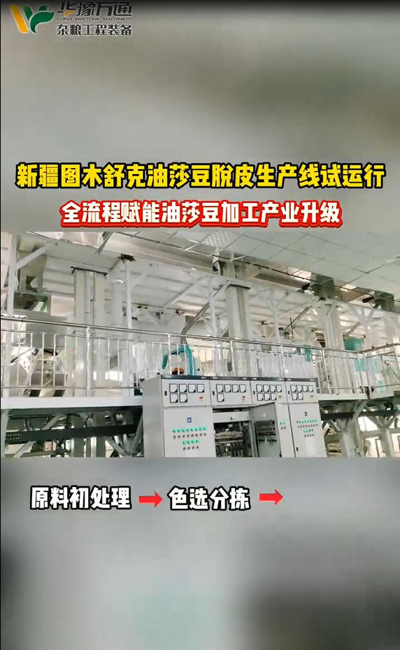 華豫萬通承建新疆圖木舒克油莎豆脫皮生產線試運行