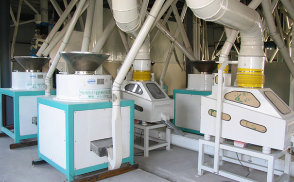 苦蕎茶成套加工設備實拍圖片