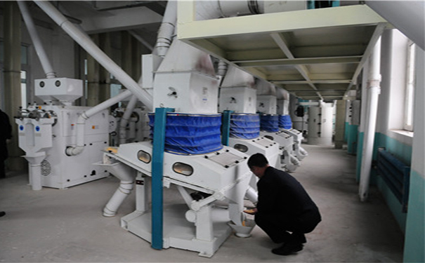 玉米提胚成套設備實拍圖片