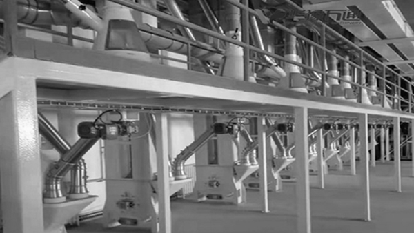 甜蕎米生產(chǎn)線