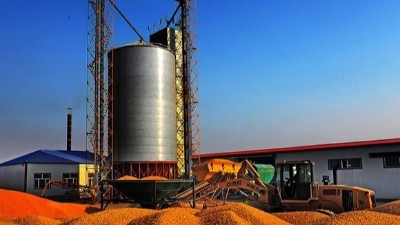 烘干設備處理玉米的標椎