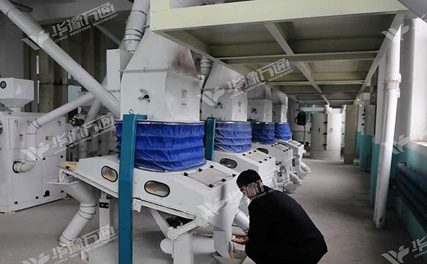 YMTPX系列吸式比重玉米選胚機實拍圖片