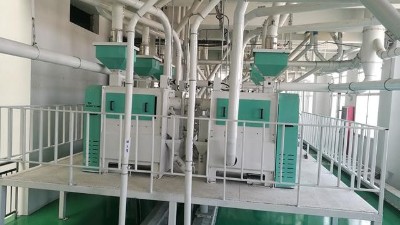 10萬噸豌豆加工設備助力企業大發展